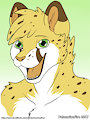 Salmy - Headshot