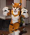 My Fursuit