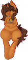 Horse stew