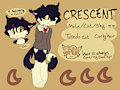 crescent the cat