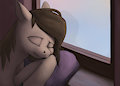 Windowsill by Difetra