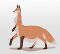Fox Taur - Preg by Difetra