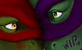 Raph and Donnie WIP