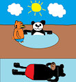 bear vacation