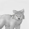 Woof
