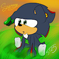 Sunray The Tulip-Rose
