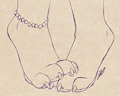 Shy Paws