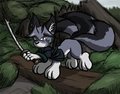 Virumiru-Taur