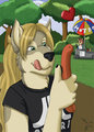 Hot Dog