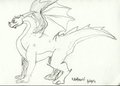 Dragon Sketch
