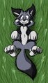 Taur Belly-Rubs