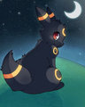 Umbreon