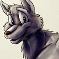 Chocolate  wolf