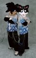 Frostcat: Side by Side