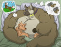 Sleeping Methods by Ziude