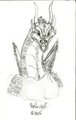 Dragon Sketch 2