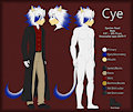 Cye Reference Sheet