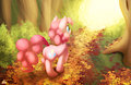 Autumn Walk
