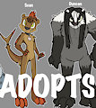 *ADOPTABLES*