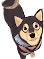 Black Shiba [W.I.P. Animated]