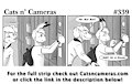 Cats n Cameras Strip #339 - Bunny Butt!