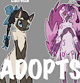 *ADOPTABLES*