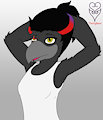 Kiara ponytail