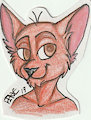 Nic Badge