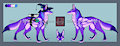Wizard Wolf Adoptable