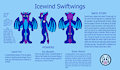 Icewind Swiftwings Ref sheet - Anthro