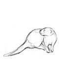 Old Art - Otter Box