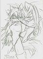 AkaXfluffy for Fluffy the Cat