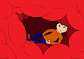 Inside a Belly