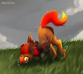 Fallen pony