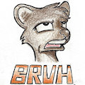 B R U H