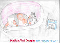 Matilda...She's A Huge Kit...(For A Calico)