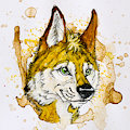 Mug Shots - Dusk