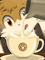 Milk Foam
