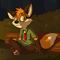 Kip camping