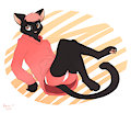Cat with a hoodie