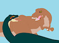 titanoboa  vs  tyrannosaurus rex   cover colored with out pattern