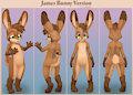 James Bunny Version