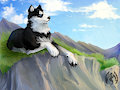 On the top by Imperator3