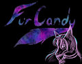 FurCandy is coming...