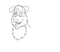 Border Collie Bens (Scrapped Practices)