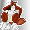 Fox Kit Changing Time by blupaddedhusky
