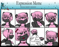Keri's Expression Meme