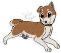 Shiba Wag
