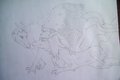 Zaxi and Phan - Request by Gunay