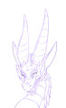Dragon Bust